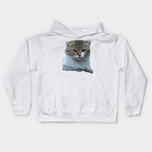 Cats Kids Hoodie